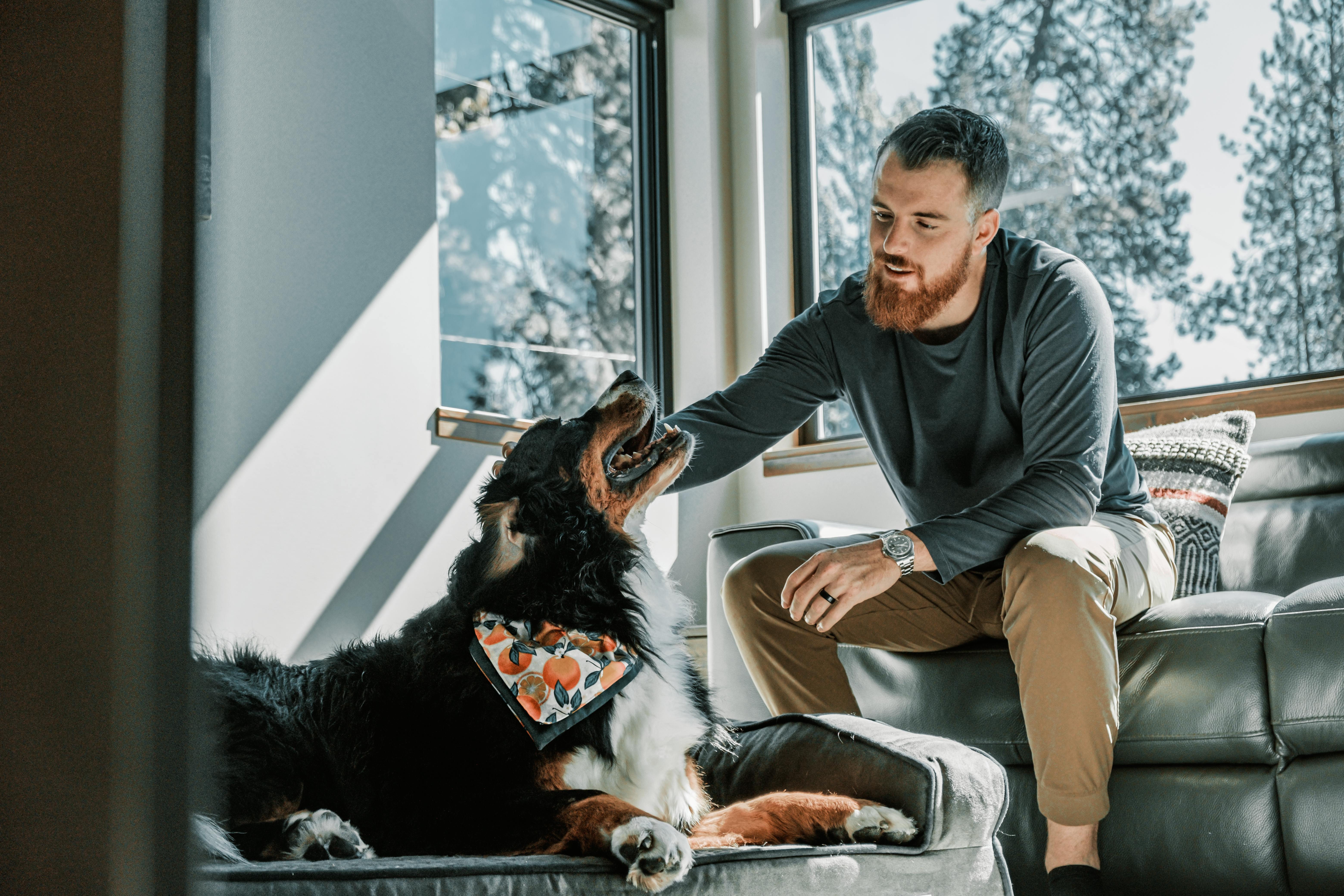 pexels-impact-dog-crates-1789722873-28860760 (1)