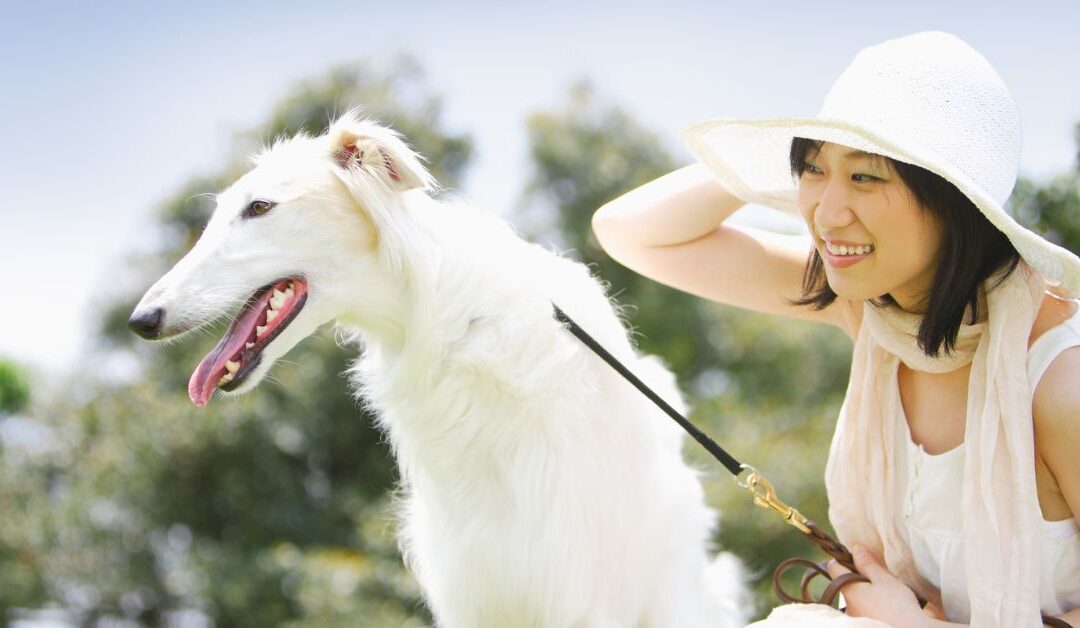 6 Smart Leashes & Collars Every Pet Owner Should Consider in 2025